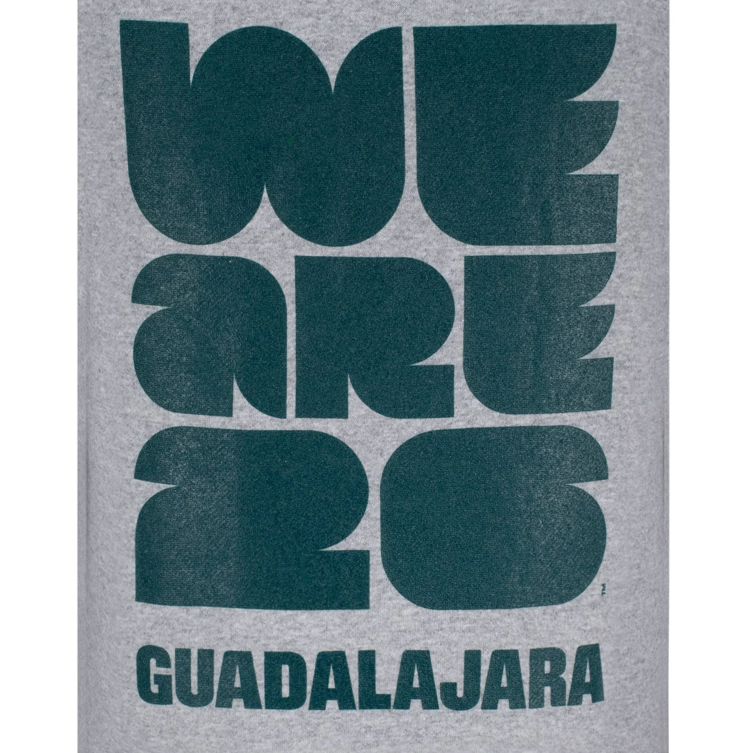 FIFA World Cup 2026™ Guadalajara Grey Hoodie - Unisex - Image 4
