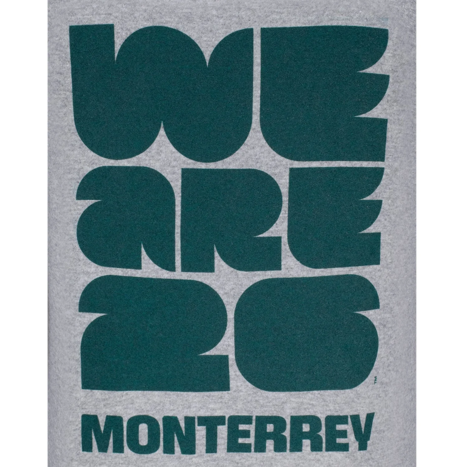 FIFA World Cup 2026™ Monterrey Grey Hoodie - Unisex - Image 4
