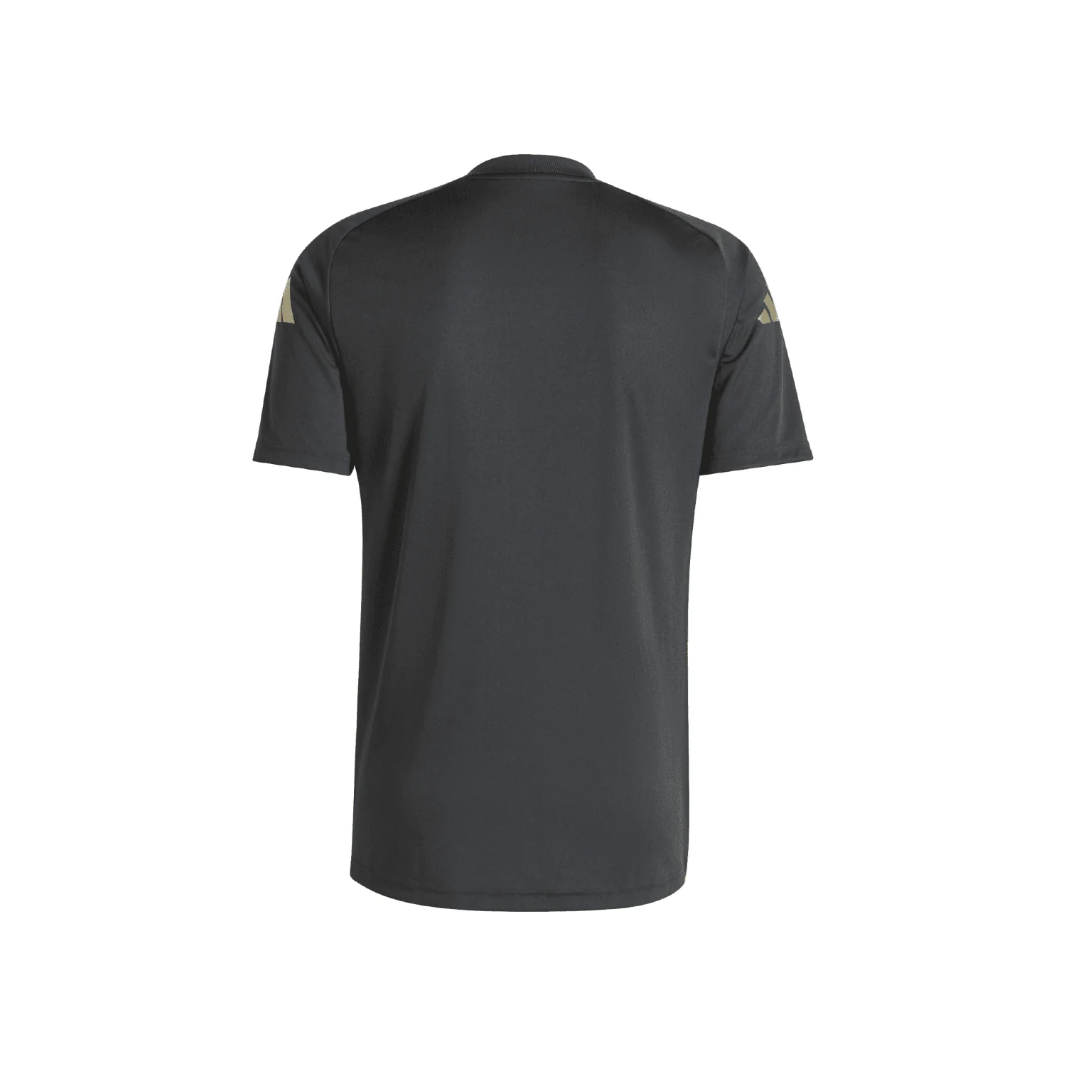 Argentina 2024 Warm Up Jersey - Men's - Image 5