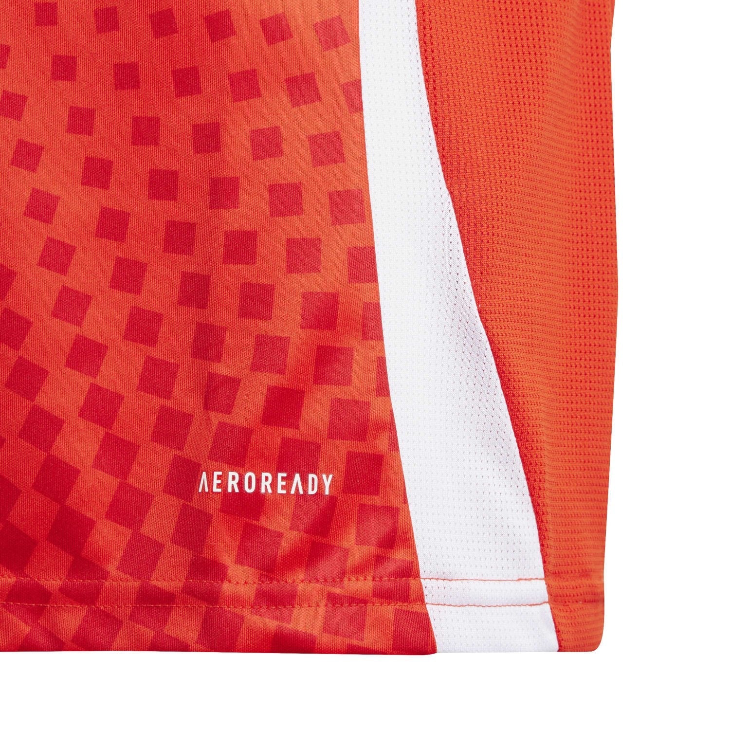 Chile 2024 Home Jersey - Youth - Image 3