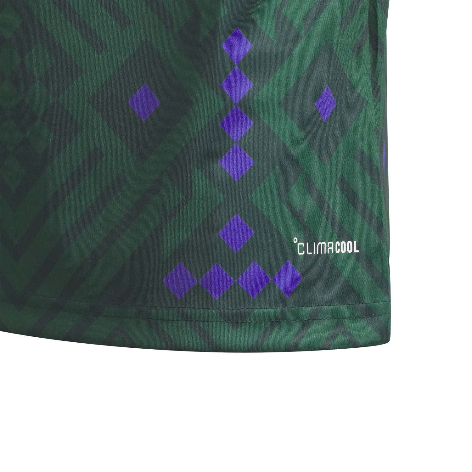 Saudi Arabia 2026 Home Jersey - Youth - Image 4