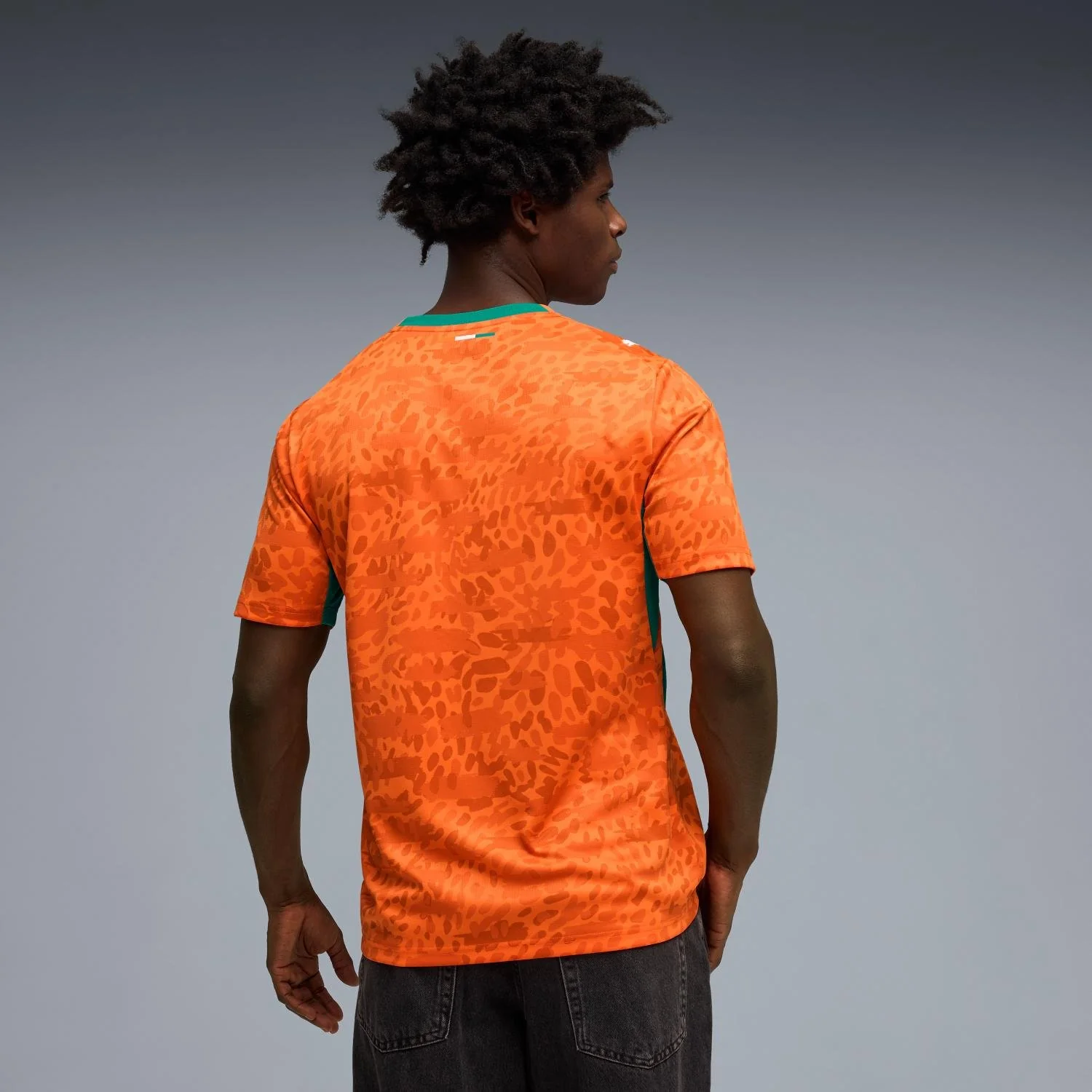 Côte d'Ivoire 2026 Home Jersey - Men's - Image 6